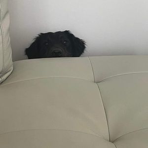 Meet your Posher, Niki